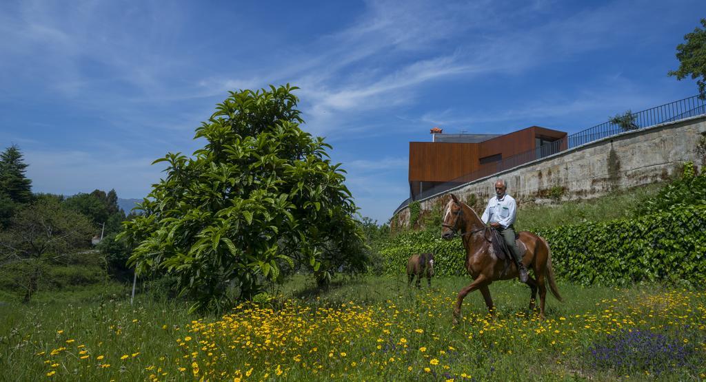 Villa Quinta Do Fontelo Vouzela Exterior foto
