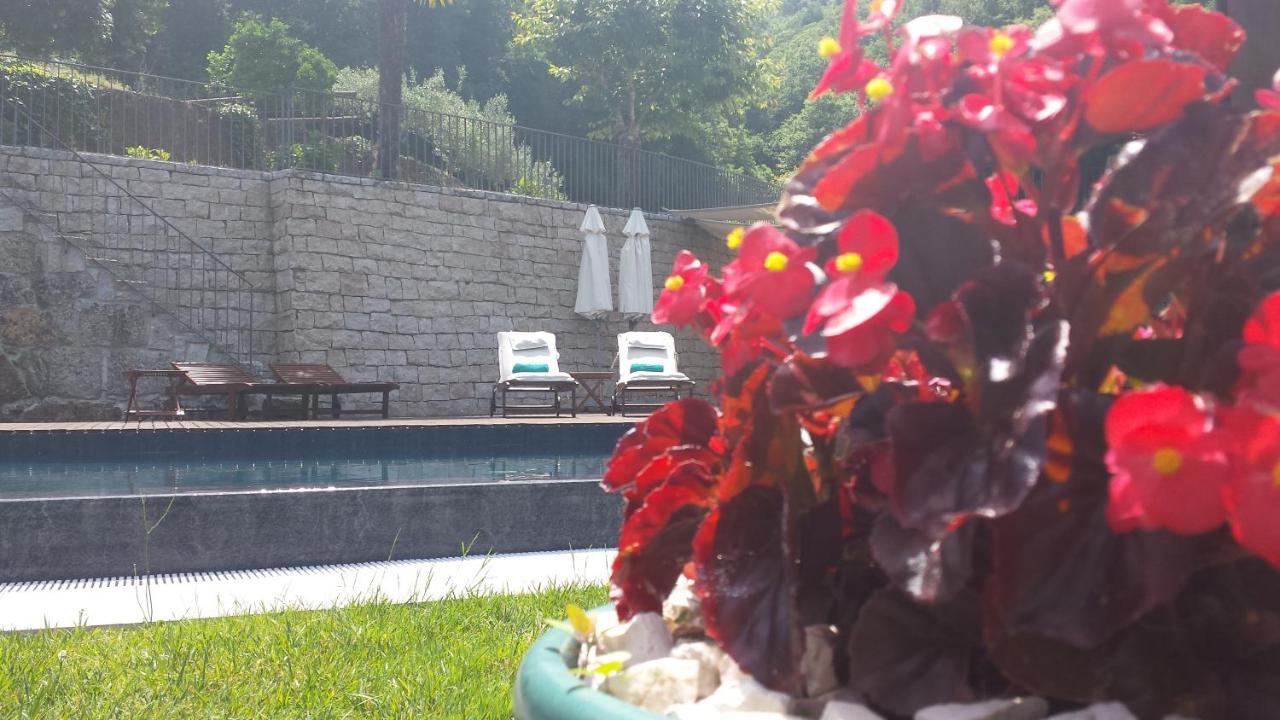 Villa Quinta Do Fontelo Vouzela Exterior foto